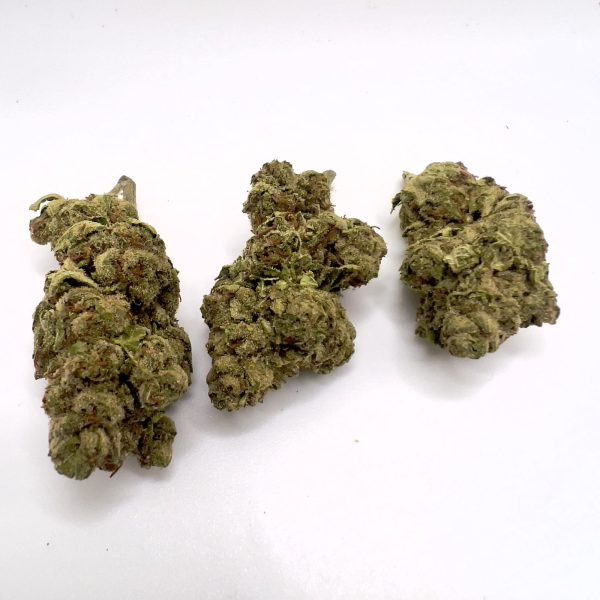 Canal Steet Runtz 13