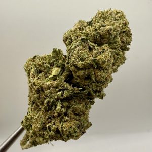 (TS) Lemon Cherry Gelato 33