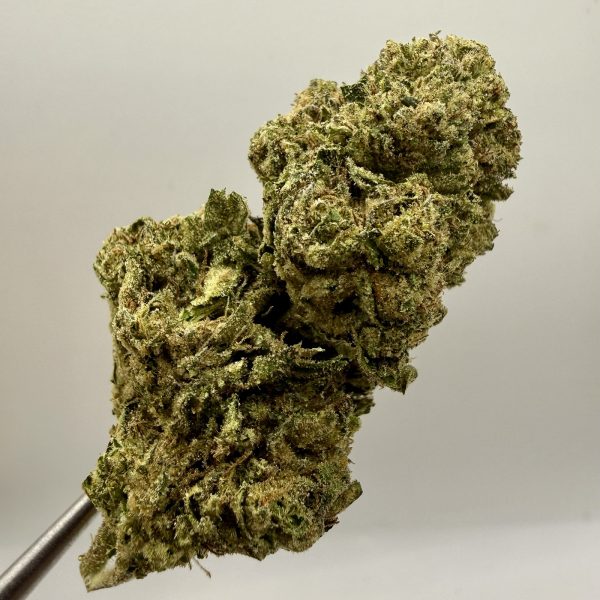 (TS) Lemon Cherry Gelato 33