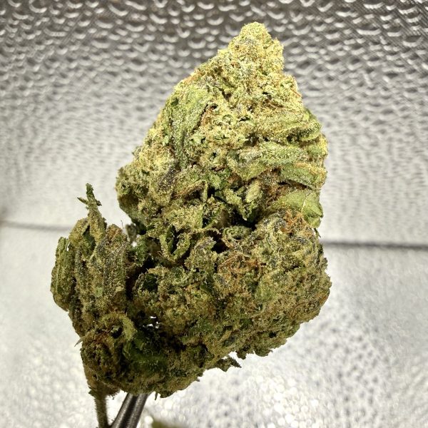 (TS) Lemon Cherry Gelato #9