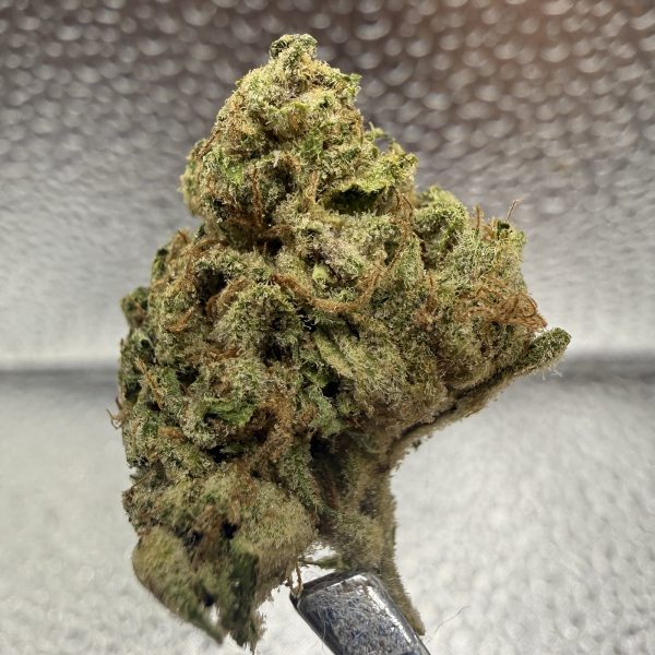(TS) Blue Dream